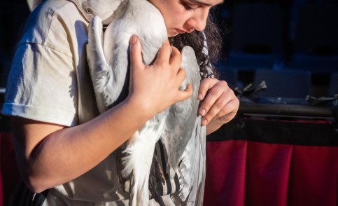 Toneelhuis / Olympique Dramatique & theater arsenaal - [MEEUW] (beeld: Kurt Van der Elst)